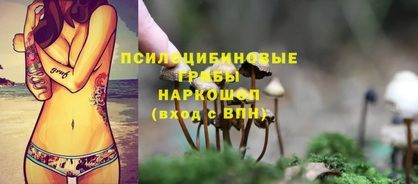 экстази Покачи