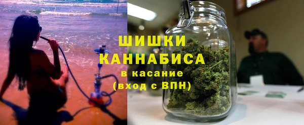 дурь Заречный