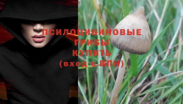 экстази Покачи