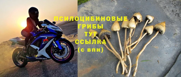 мдпв Приозерск