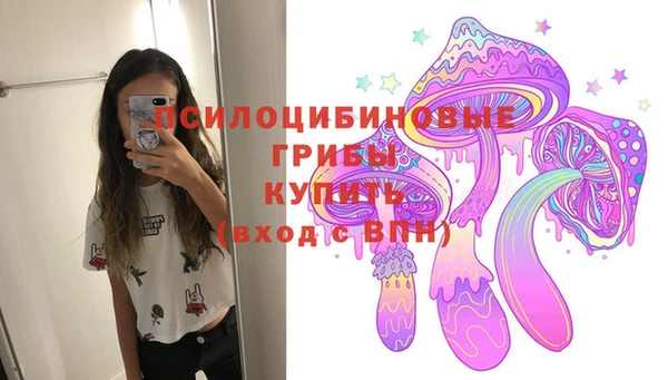 экстази Покачи