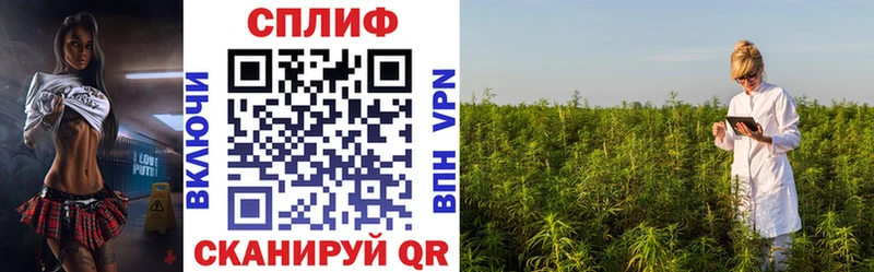 купить закладку  Зуевка  mega   Бошки Шишки Bruce Banner 